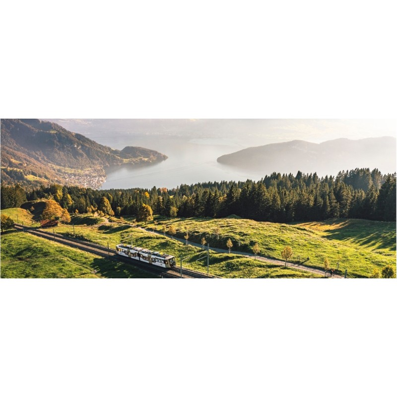 Gutschein Königliche Rigi Rundfahrt